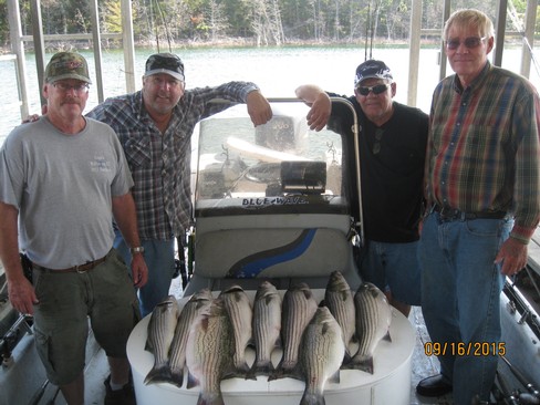 Nice Striped Bass